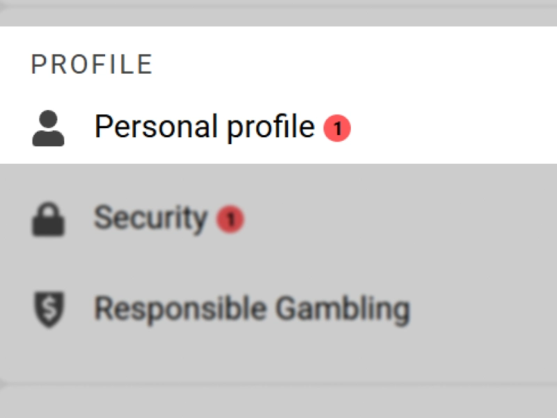 WinWin verification step showing 'Personal Data' section selected in account menu, section name highlighted and visible fields listed